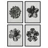 POSTER Set mit 4 von Blumenblättern Blumen und Pflanzen in Grausteinen A4 Rahmenlos - Klar, Papier (29.7/3cm) - Nacnic