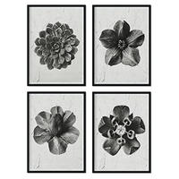 POSTER Set mit 4 von Blumenblättern Blumen und Pflanzen in Grausteinen A3 Rahmenlos - Klar, Papier (29.7/3cm) - Nacnic
