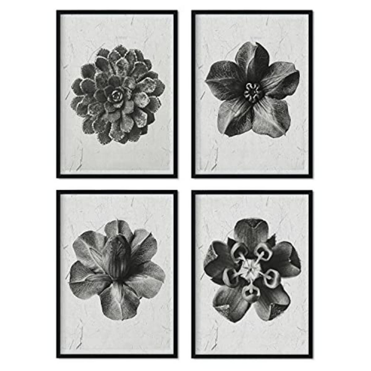 POSTER Set mit 4 von Blumenblättern Blumen und Pflanzen in Grausteinen A3 Rahmenlos - Klar, Papier (29.7/3cm) - Nacnic
