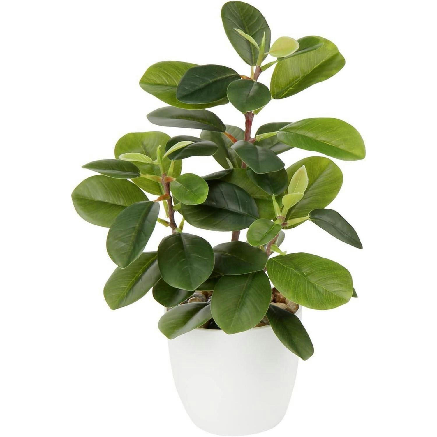 KÜNSTLICHE Zimmerpflanze Kamelie 28 cm - Grün, Kunststoff (27.9cm)