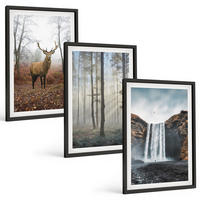 BILDER SET 3er Set - 40x60 cm Schwarzer Rahmen - Waldlandschaften, wilde Natur - Schwarz, Kunststoff (40/60cm) - TULUP