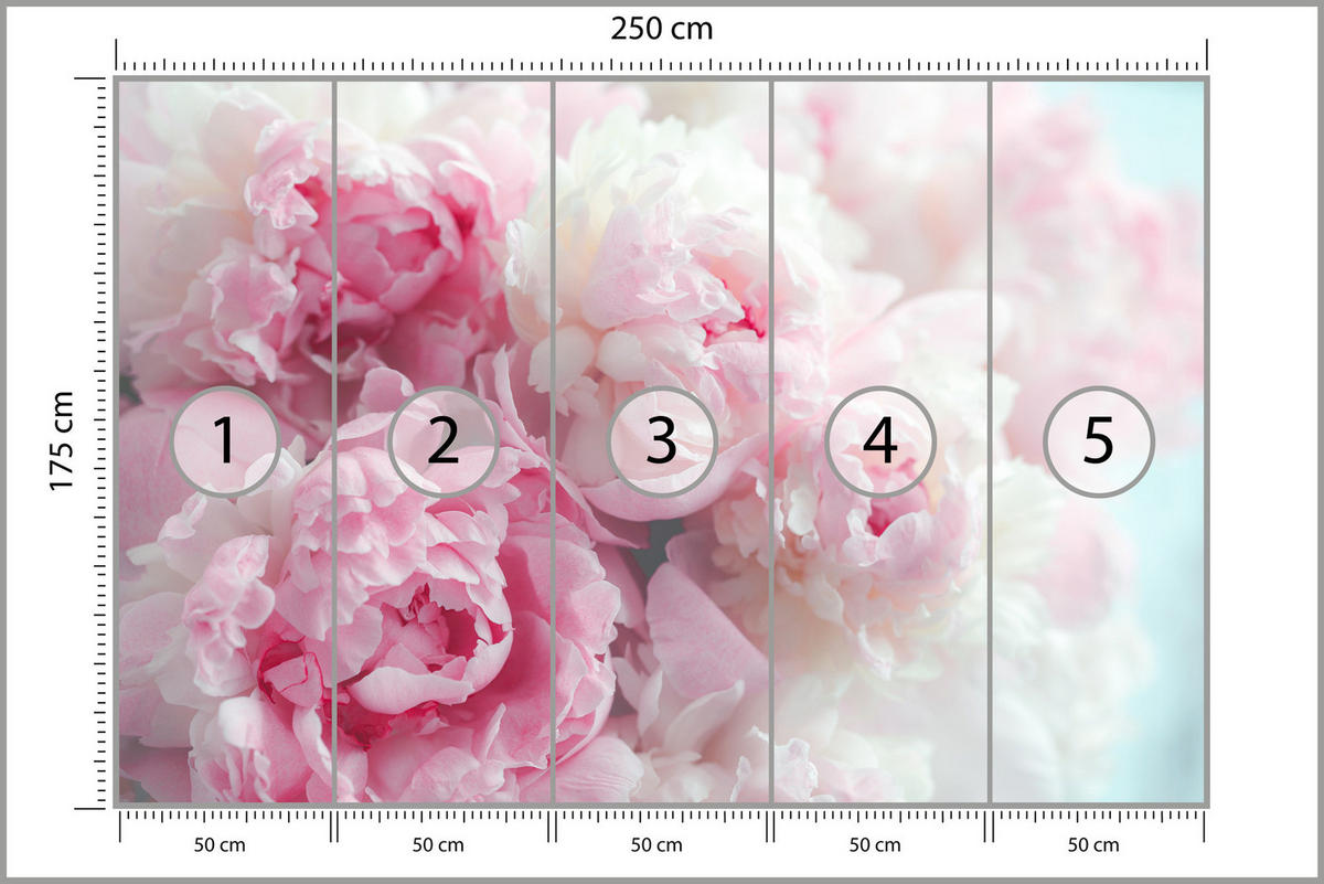 FOTOTAPETE Blumen Pfingstrosen Natur 3D 250x175 - Blau/Rosa, Papier (250/175cm) - Muralo