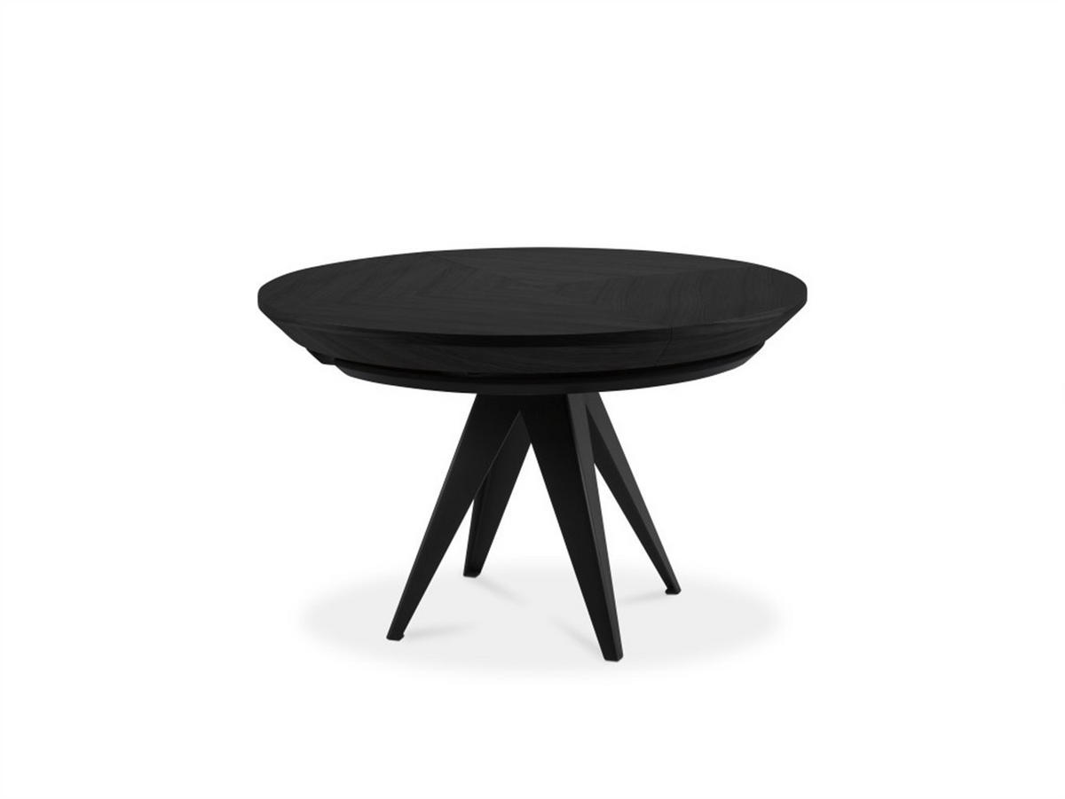 ESSTISCH GLOBO Ausziehbar 120 - 220 / 120 x 76 cm - Schwarz, Holz (120/120/76cm) - MASSENO