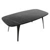 COUCHTISCH Fabiola - Schwarz, Holzwerkstoff/Metall (60/120/45cm) - MIRJAN24