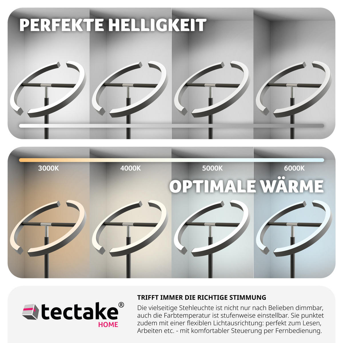 DECKENFLUTER Auralis,31,5 x 188 cm ,schwarz - Schwarz, Metall (31.5/31.5/188cm) - tectake
