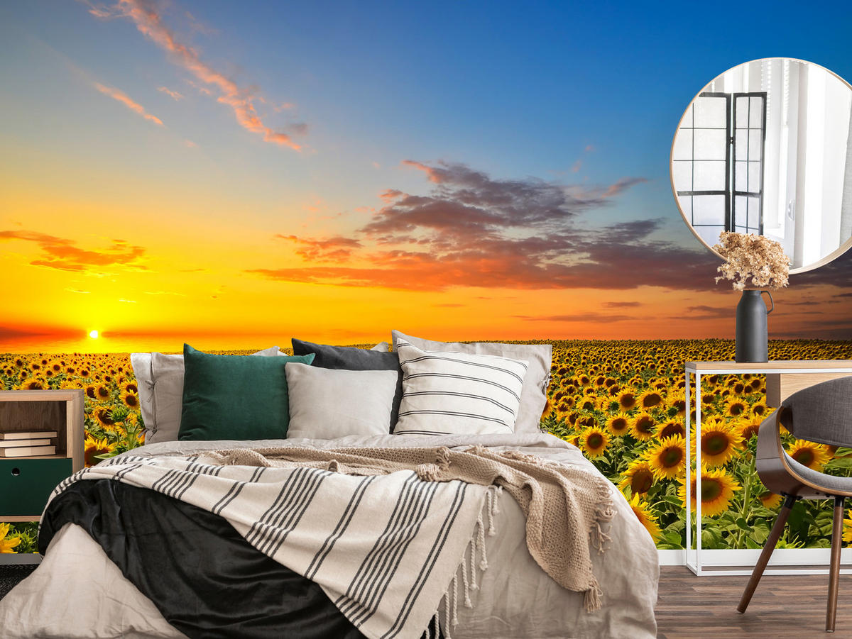 FOTOTAPETE für Küche Sonnenuntergang Sonnenblumenfeld Blumen 450x315 - Gelb/Orange, Papier (450/315cm) - Muralo