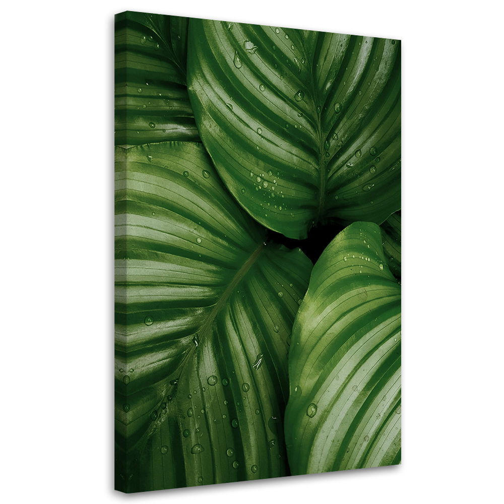 KUNSTDRUCK Grün 80/120 cm - Grün, Textil (80/120cm) - KUNSTLOFT