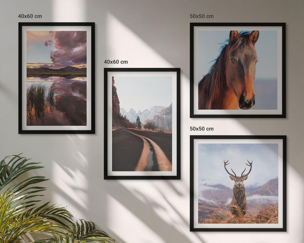 BILDER SET 4er Set - 50x50 cm & 40x60 cm Schwarzer Rahmen - Berglandschaften, Rentiere, Pferdestraße - Schwarz, Kunststoff (50/50cm) - TULUP