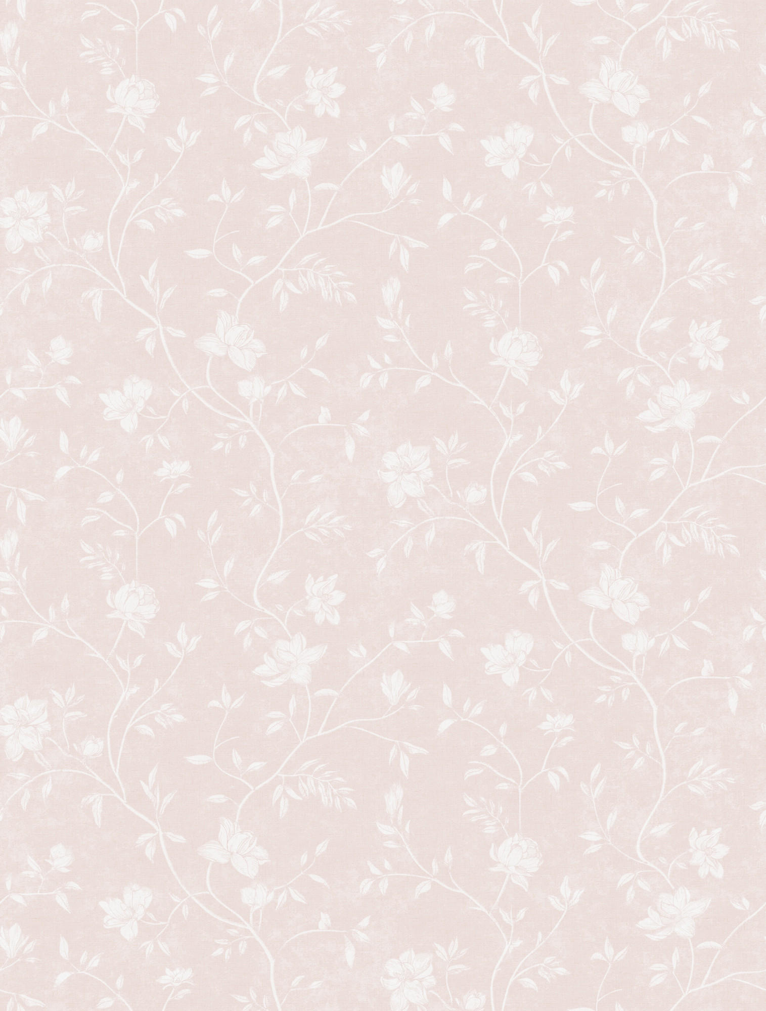 TAPETE Blumen 53 cm x 10 m - Pink, Papier (53/0.1cm) - Sanders & Sanders