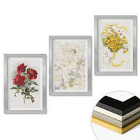 WANDBILDER 3er Set - 20x30 cm Silberner Rahmen - Rosen rot-weiße Form - Silberfarben, Kunststoff (20/30cm) - ArtPrintCave
