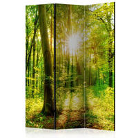 PARAVENT Einseitig Bedruckter 3-tlg 135x172 cm Sonnenstrahlen im Wald - Grün, Holz/Textil (135/172/3cm) - Muralo