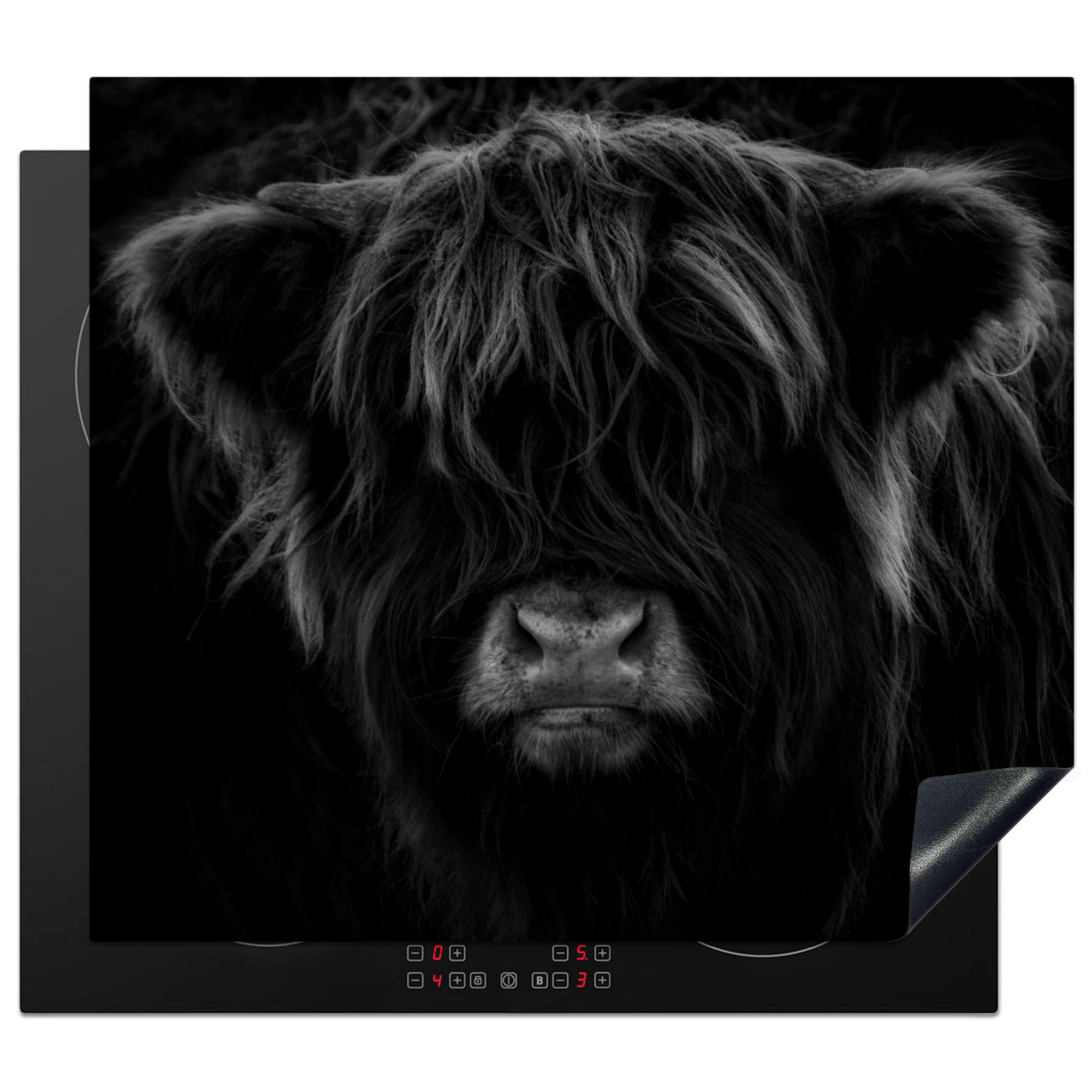 HERDABDECKPLATTE Schottischer Highlander - Kuh - Schwarz - Weiß - Tiere Abdeckung Ceranfeld 57.6x51.6 cm - Schwarz, Kunststoff (57.6/51.6/0.2cm) - MuchoWow