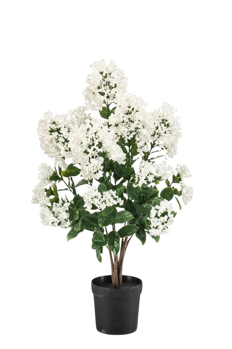 KUNSTPFLANZE Künstlicher Flieder - August 65 cm - Weiß, Kunststoff (65cm) - Emerald