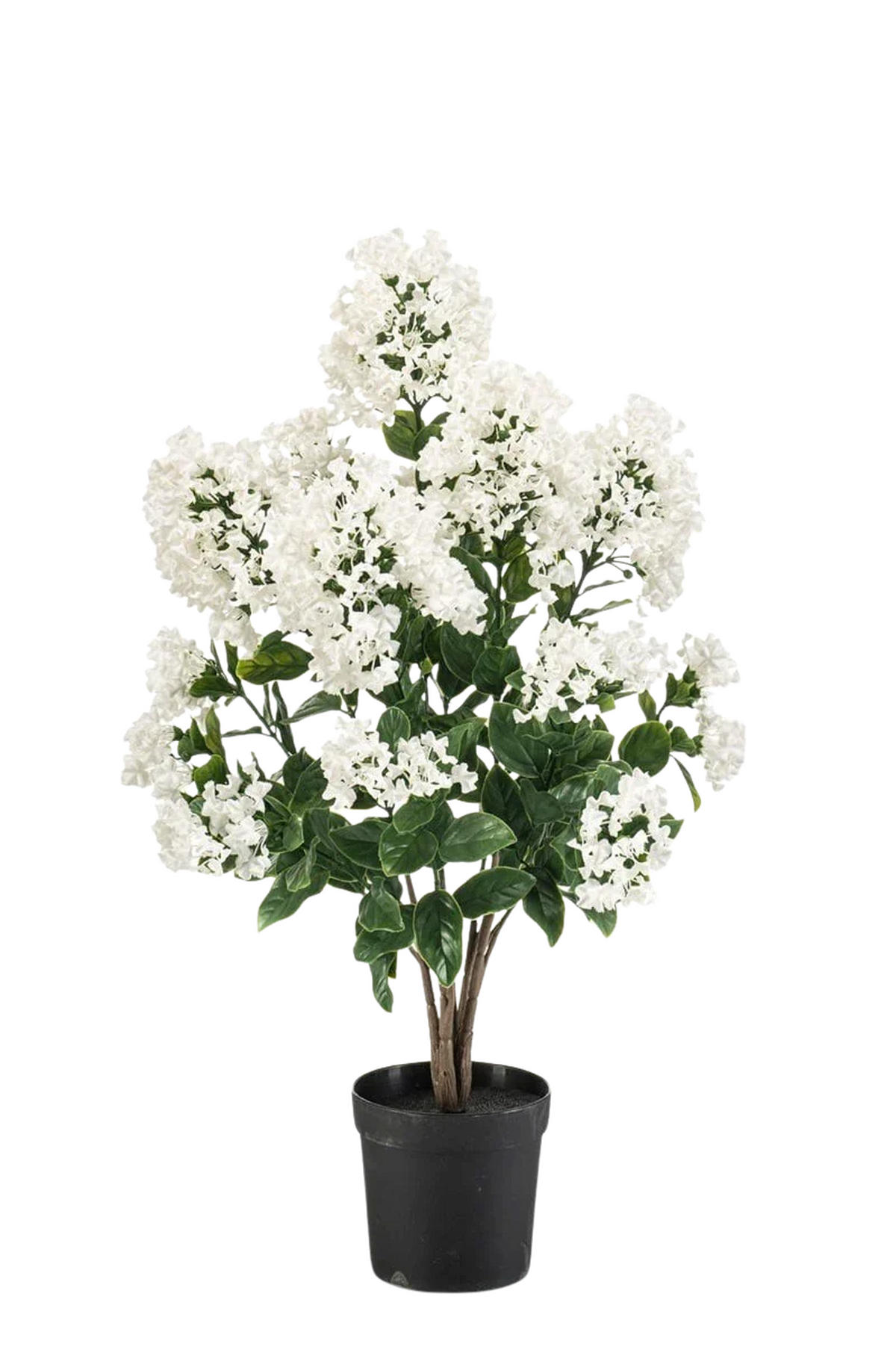 KUNSTPFLANZE Künstlicher Flieder - August 65 cm - Weiß, Kunststoff (65cm) - Emerald