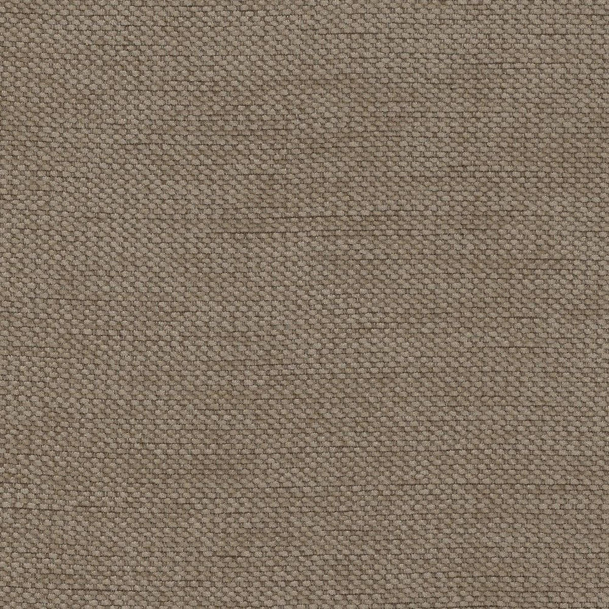 BOXBETT 120x200 inkl. Topper, Bettkasten und LED-Beleuchtung - Beige/Schwarz, Holz/Holzwerkstoff (120/200cm) - ed exciting design