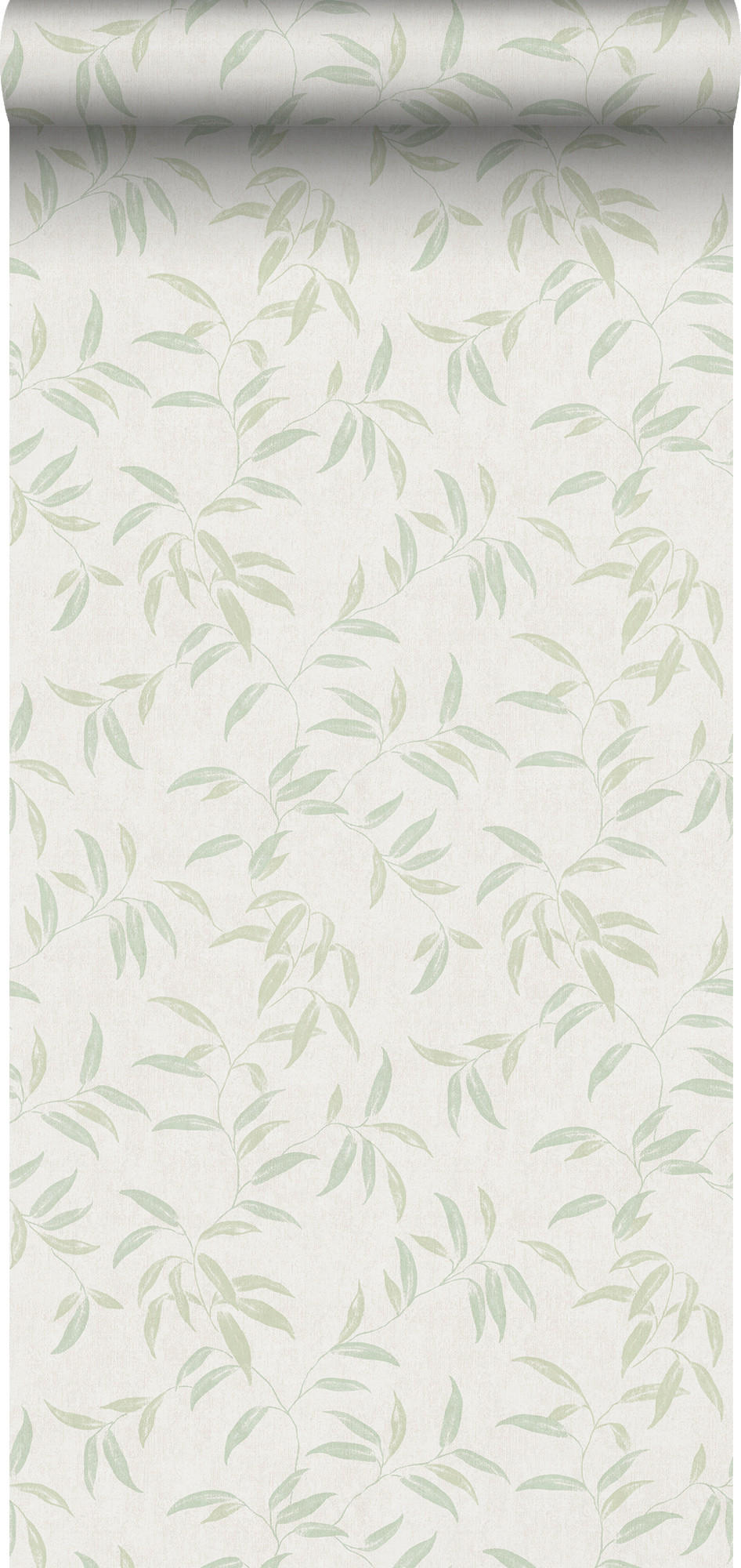 TAPETE Blätter 53 cm x 10 m - Grün, Papier (53/1000cm) - Sanders & Sanders