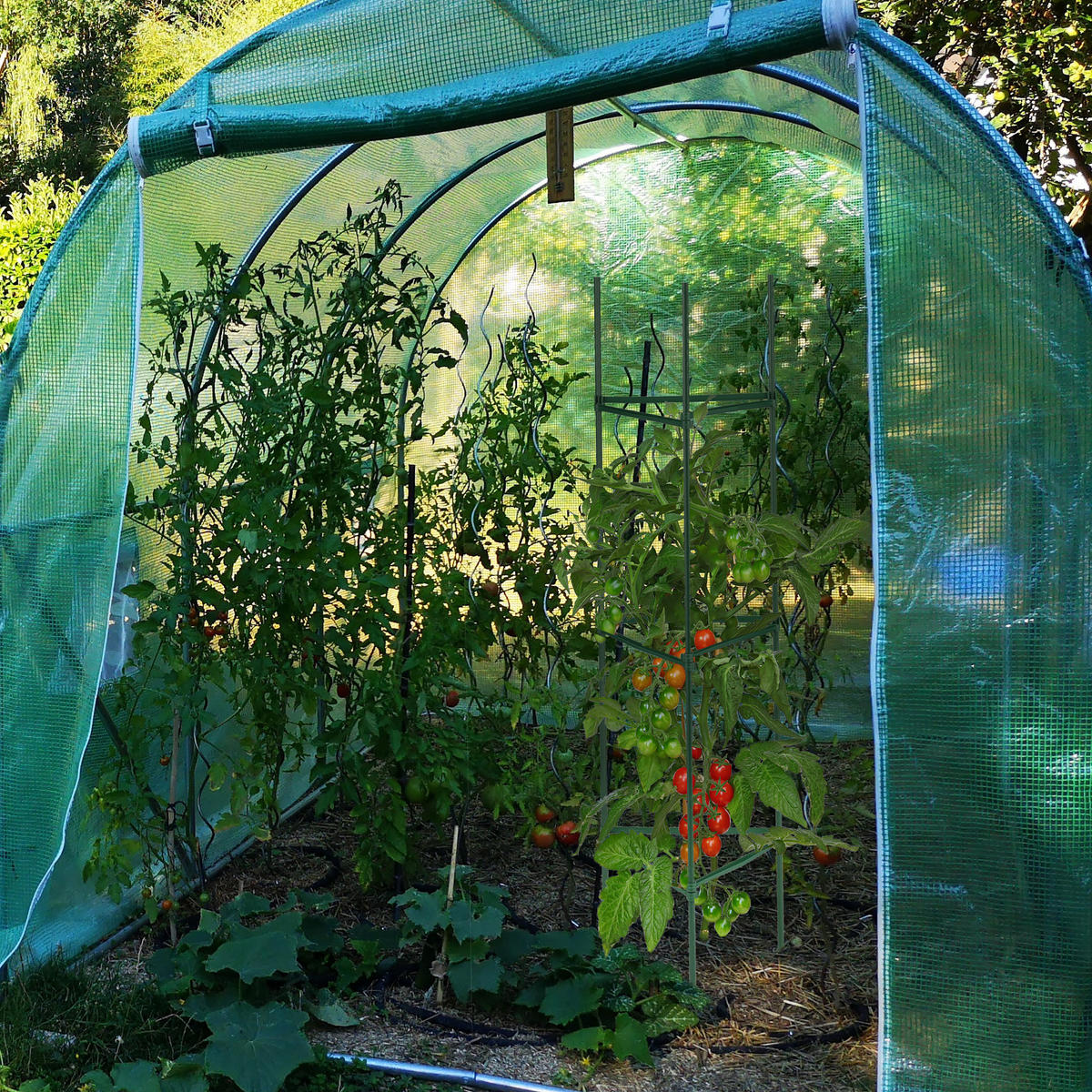 4XRANKHILFE - Dunkelgrün, Kunststoff/Metall (32/120/32cm) - Relaxdays