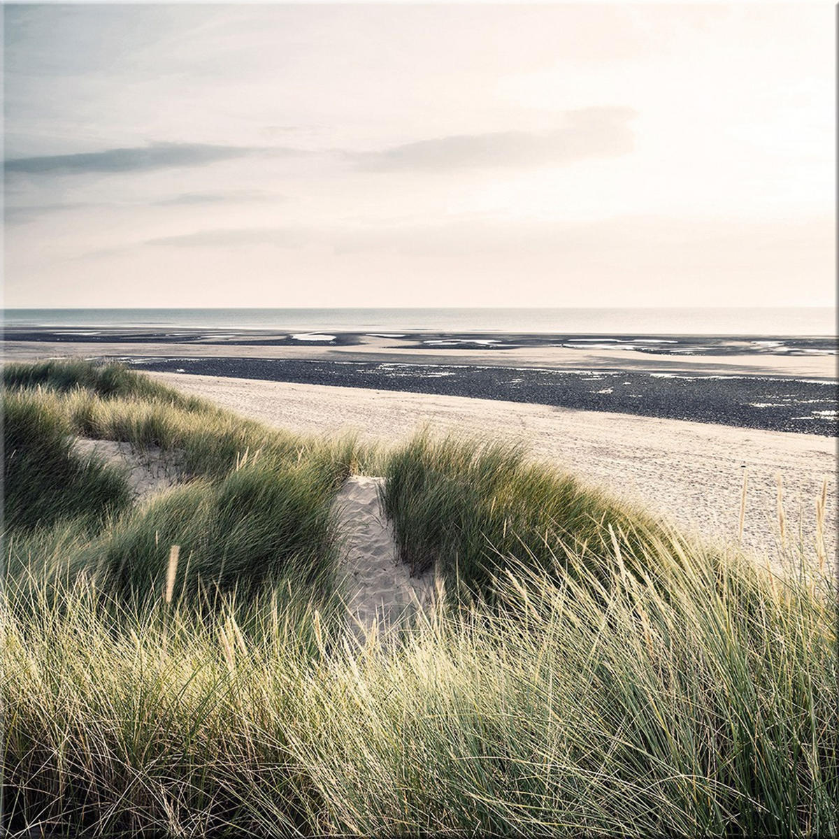 GLASBILD 50x50 cm Strand und Meer - Grün, Glas (50/50cm) - artissimo