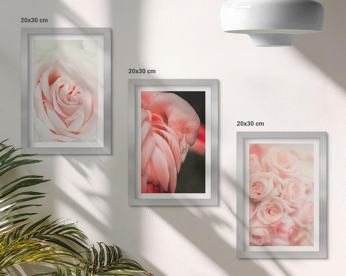 BILDER SET 3er Set - 20x30 cm Silberner Rahmen - Zartrosa Flamingos - Silberfarben, Kunststoff (20/30cm) - TULUP