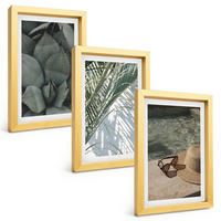 BILDER SET 3er Set - 20x30 cm Goldrahmen - Tropische Pflanzen für den Urlaub - Goldfarben, Kunststoff (20/30cm) - TULUP