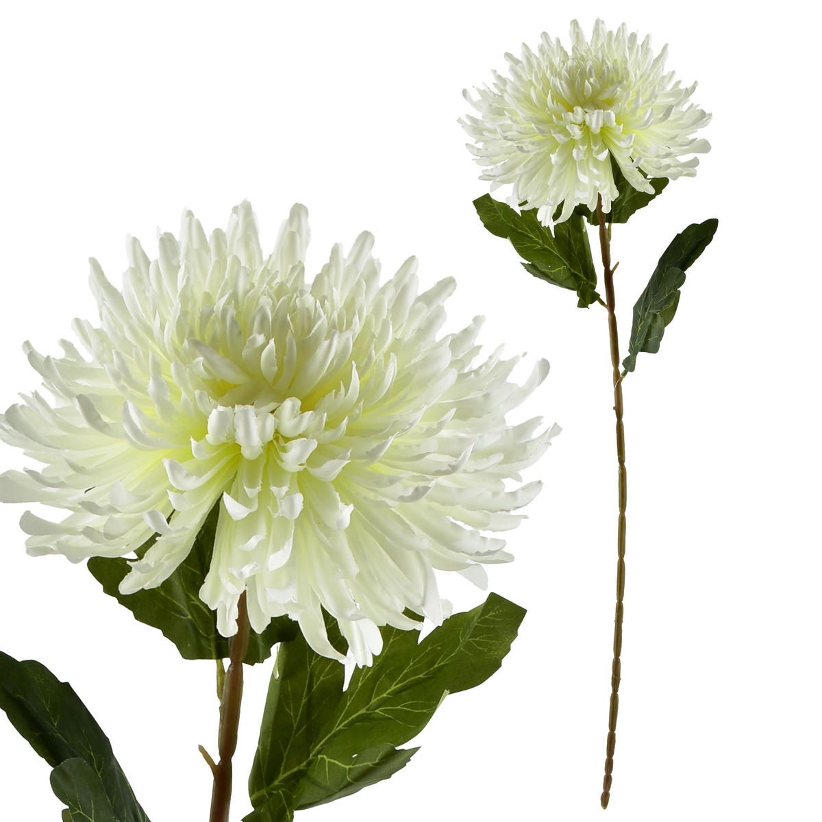 UMĚLÁ CHRYZANTÉMA, 75 cm, bílá - bílá, plast (75cm) - Mondex