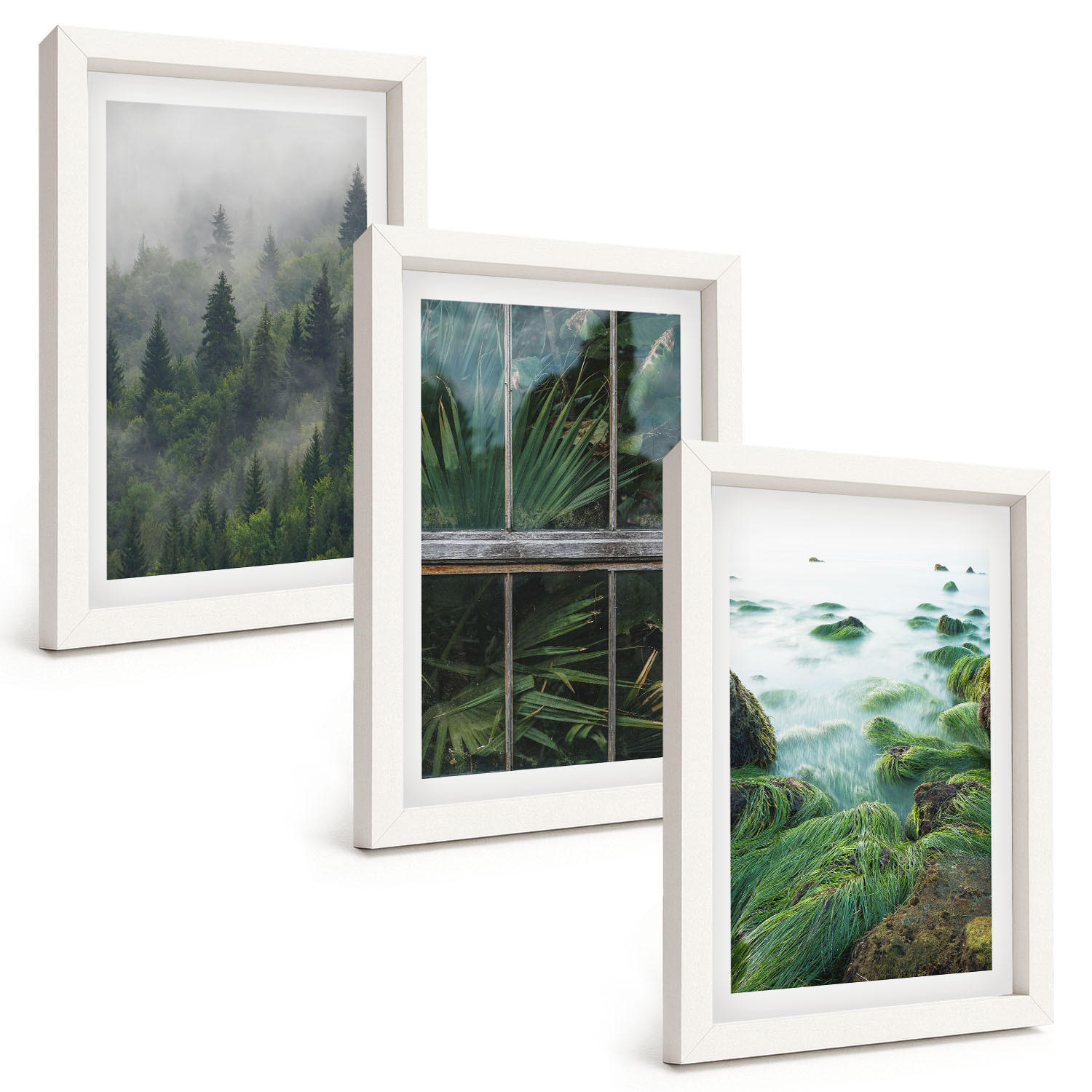 BILDER SET 3er Set - 20x30 cm Weißer Rahmen - Waldnebel, Flussufer, Gewächshaus - Weiß, Kunststoff (20/30cm) - TULUP
