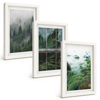 BILDER SET 3er Set - 20x30 cm Weißer Rahmen - Waldnebel, Flussufer, Gewächshaus - Weiß, Kunststoff (20/30cm) - TULUP