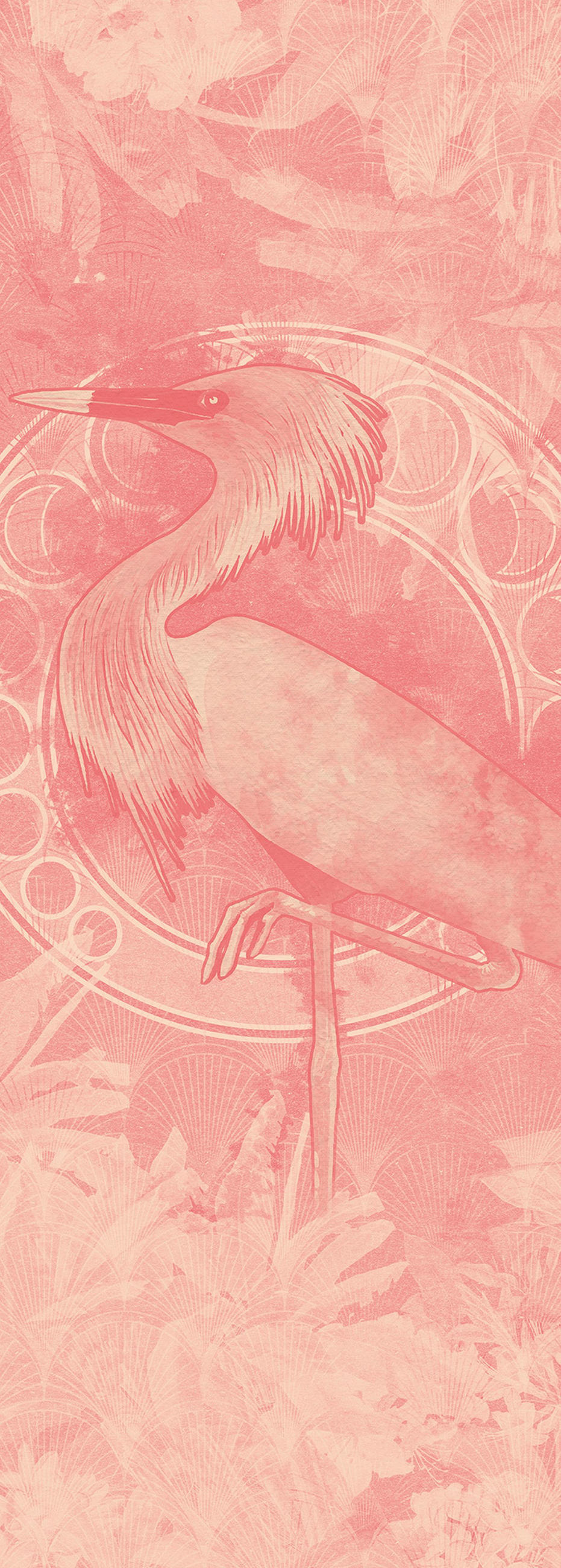 FOTOTAPETE Vogel 100 x 280 cm - Pink, Papier (100/280cm) - Sanders & Sanders