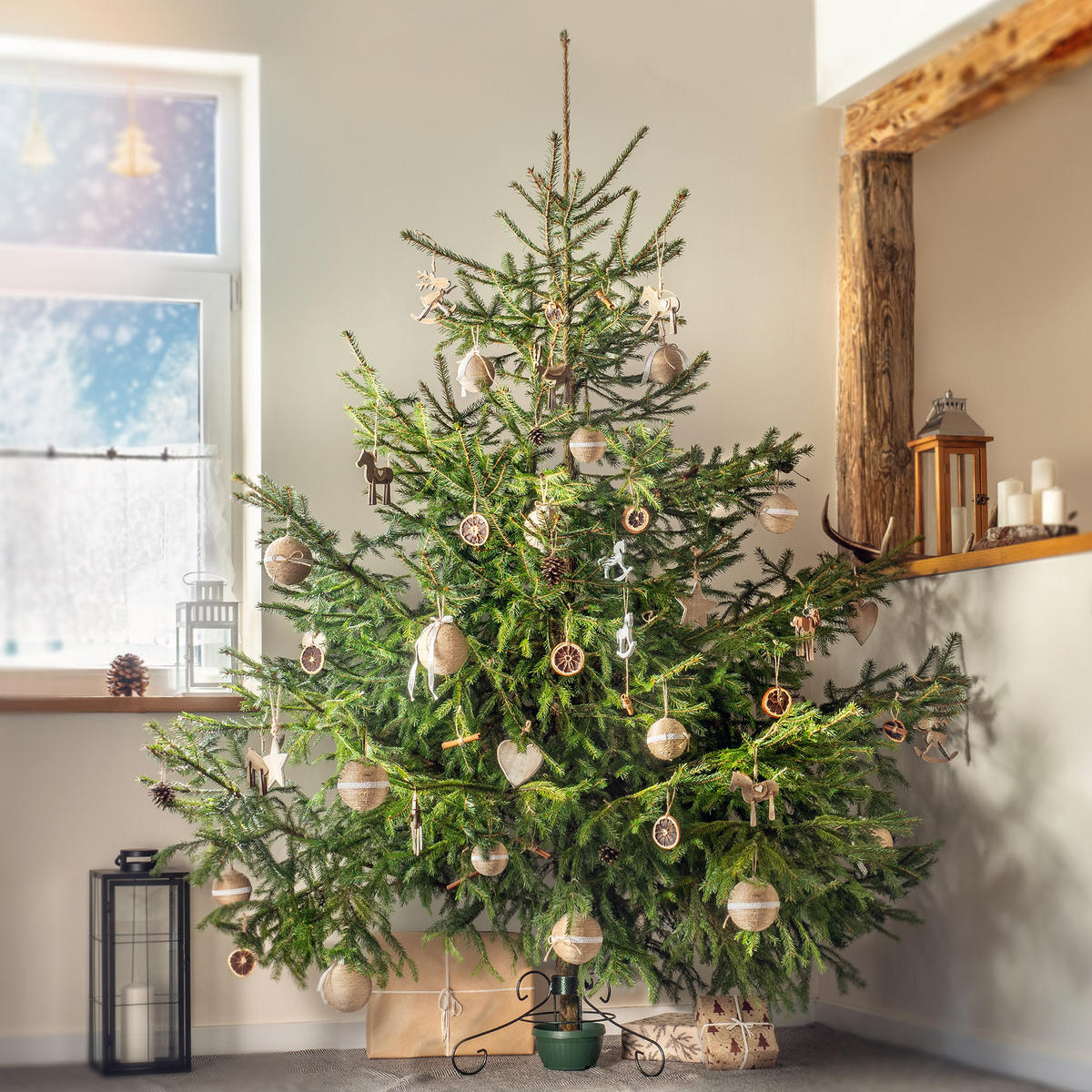 KADAX Weihnachtsbaumständer 2 m Weihnachtsbaumständer aus Metall mit Schale - Grün, Kunststoff/Metall (17.5cm) - KADAX