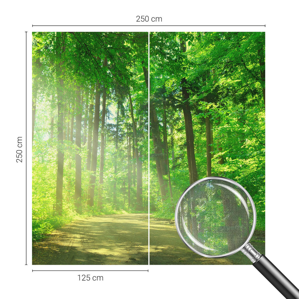 FOTOTAPETE 250x250 cm - Waldweg - Grün, Textil (250/250cm) - Wallfluent