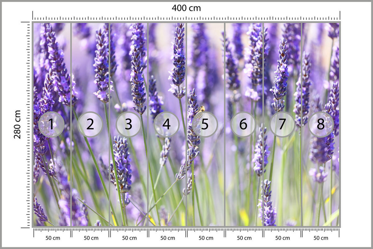 FOTOTAPETE für Küche Lavendelwiese Blumen Kräuter 400x280 - Violett/Grün, Papier (400/280cm) - Muralo