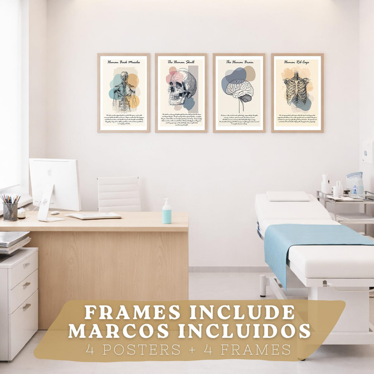 POSTER Set aus 4 Anatomie Mensch Lernposter Drucke und mit Muskeln Rücken Rippen Gehirn und Schädel Modernes Design Größe Leichter Holzrahmen A3 - Beige, Papier (29.7/42/3cm) - Nacnic