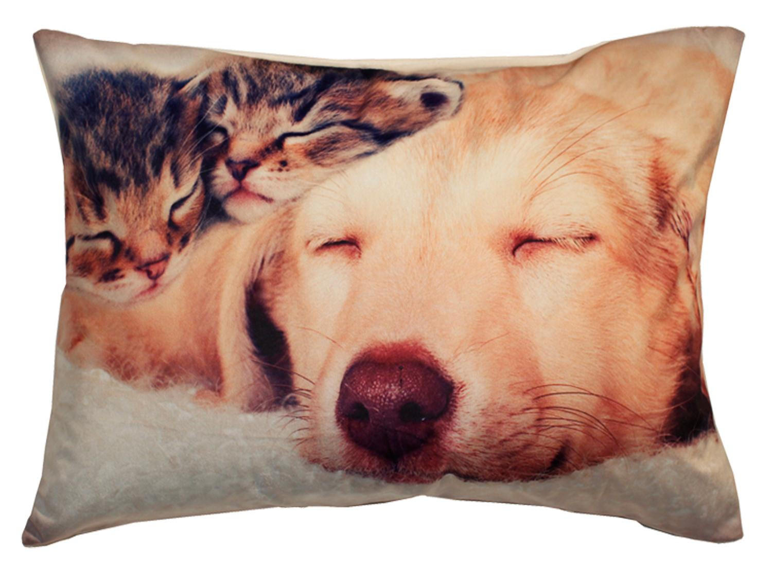 KISSENHÜLLE Kurzplüsch Fotodruck Hund 40/60 cm - Hellbraun, Textil (40/60cm) - TiborTex
