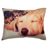 KISSENHÜLLE Kurzplüsch Fotodruck Hund 40/60 cm - Hellbraun, Textil (40/60cm) - TiborTex