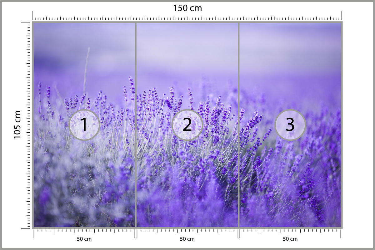 FOTOTAPETE für Küche Lavendelwiese Blüten Fliederfeld 150x105 - Violett/Lila, Papier (150/105cm) - Muralo