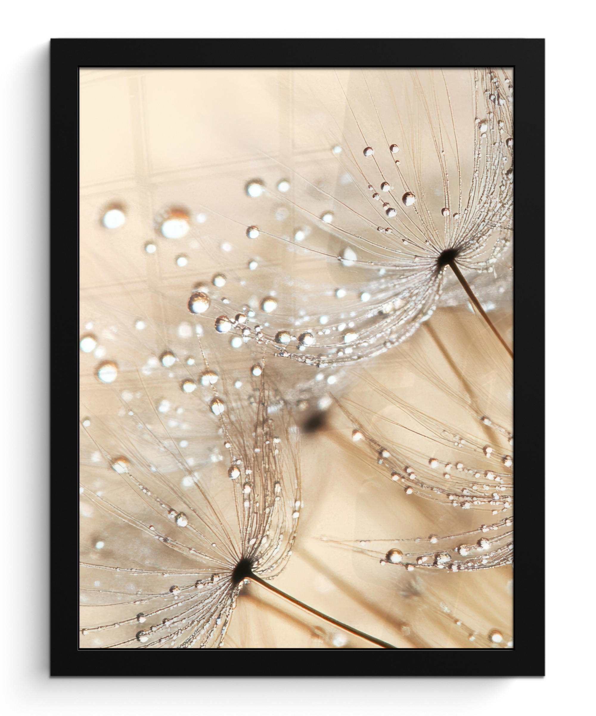 GERAHMTES BILD Löwenzahn - Abstrakt - Natur - Beige 30x40 cm - Braun, Papier (30/40cm) - MuchoWow