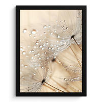 GERAHMTES BILD Löwenzahn - Abstrakt - Natur - Beige 30x40 cm - Braun, Papier (30/40cm) - MuchoWow