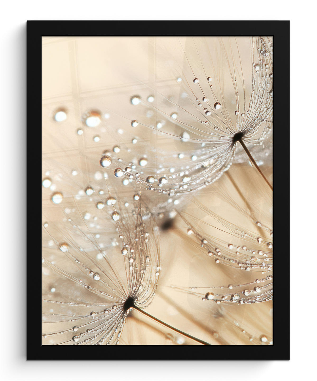 GERAHMTES BILD Löwenzahn - Abstrakt - Natur - Beige 30x40 cm - Braun, Papier (30/40cm) - MuchoWow