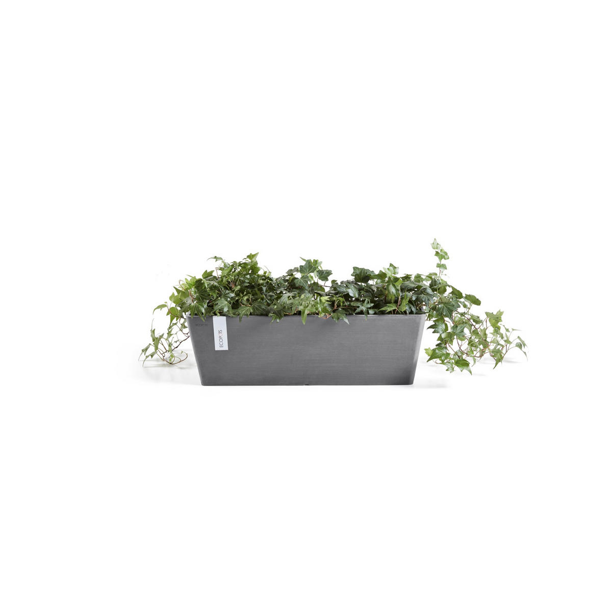 BLUMENTOPF mit Wasserreservoir Bruges 44,8/17/17,3 cm Grau - Grau, Kunststoff (44.8/17.3cm) - Ecopots