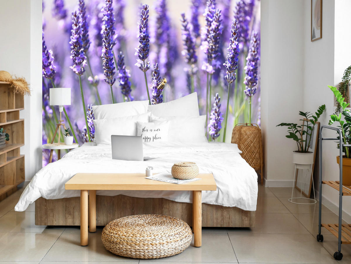 FOTOTAPETE für Küche Lavendelwiese Blumen Kräuter 200x140 - Violett/Grün, Papier (200/140cm) - Muralo