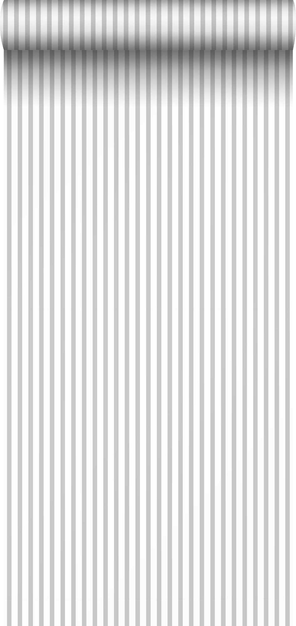 TAPETE Streifen 53 cm x 10 m - Grau, Papier (53/1000cm) - Sanders & Sanders