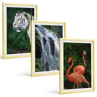 BILDER SET 3er Set - 40x60 cm Goldrahmen - Tiger Wasserfall Flamingos Natur - Goldfarben, Kunststoff (40/60cm) - TULUP