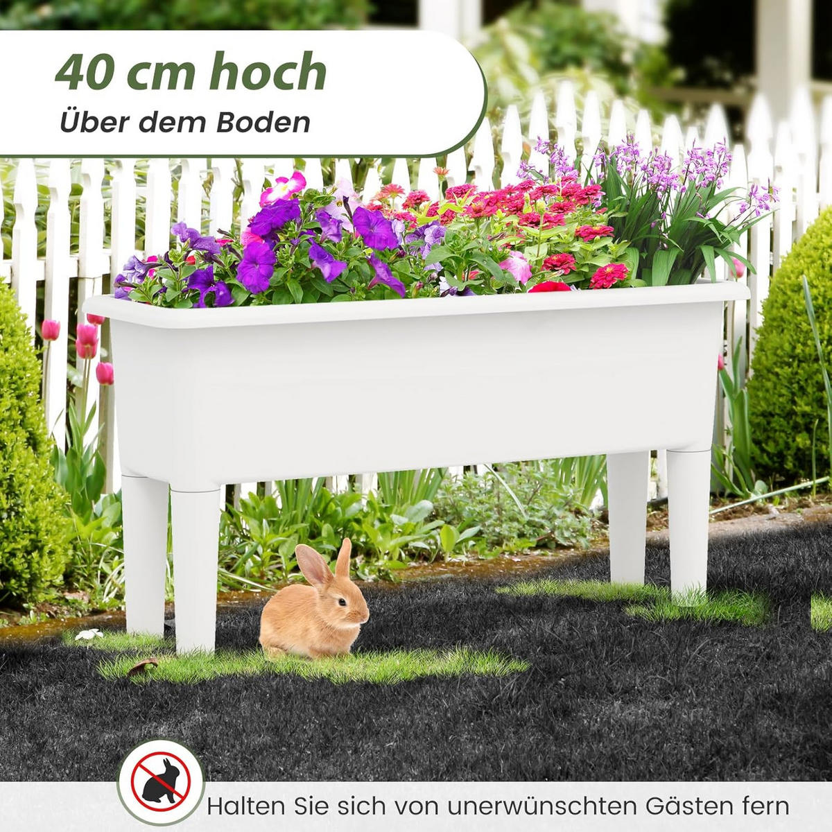 HOCHBEET 2er-Set Weiß - Weiß, Kunststoff (30/40/80cm) - COSTWAY