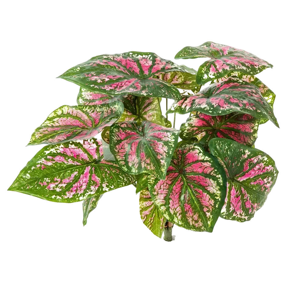 aplanta Künstliche Pink 34 cm