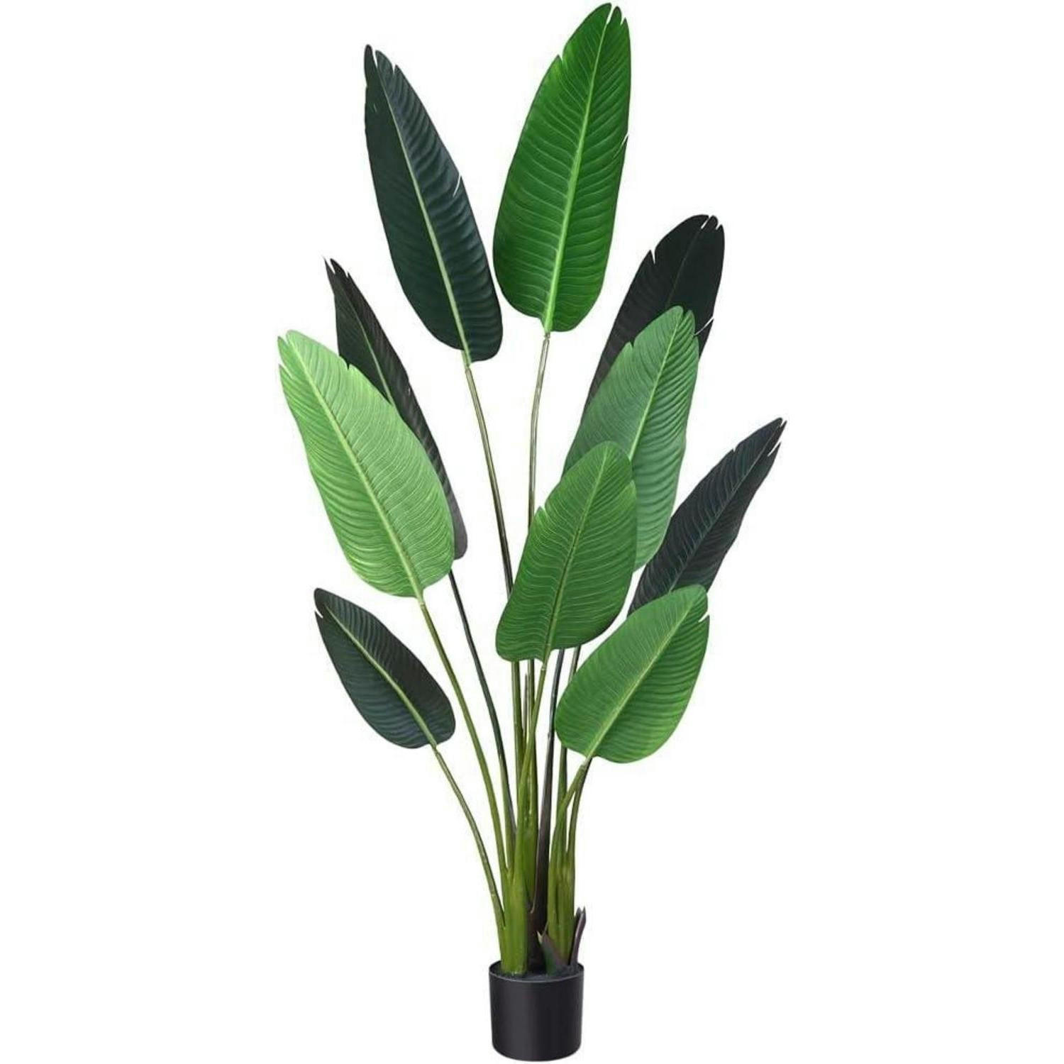 XXXLutz Künstliche Grün 152.4 cm