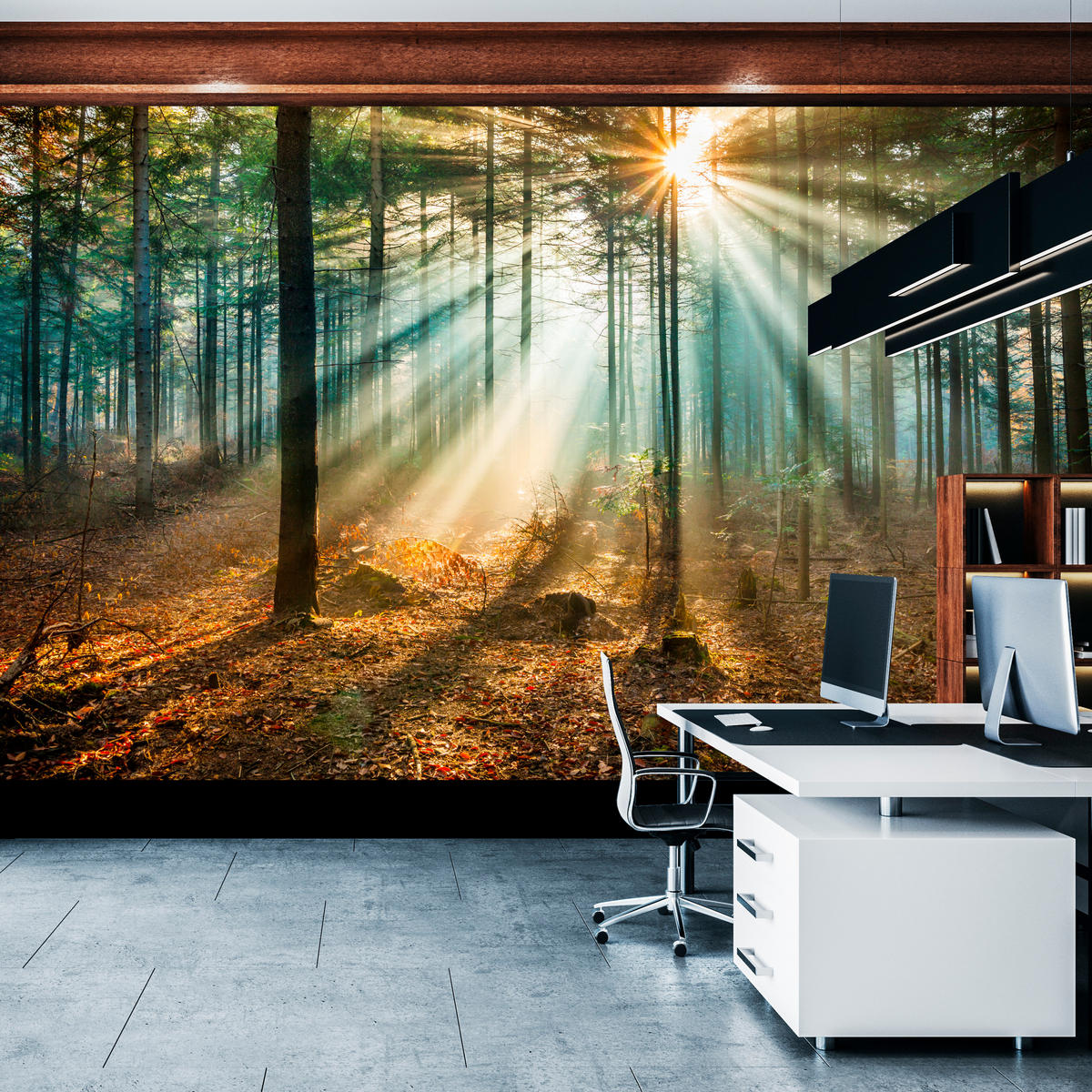 FOTOTAPETE für Wohnzimmer Herbstwald Sonnenuntergang Bäume Natur 500x350 - Beige/Gelb, Papier (500/350cm) - Muralo