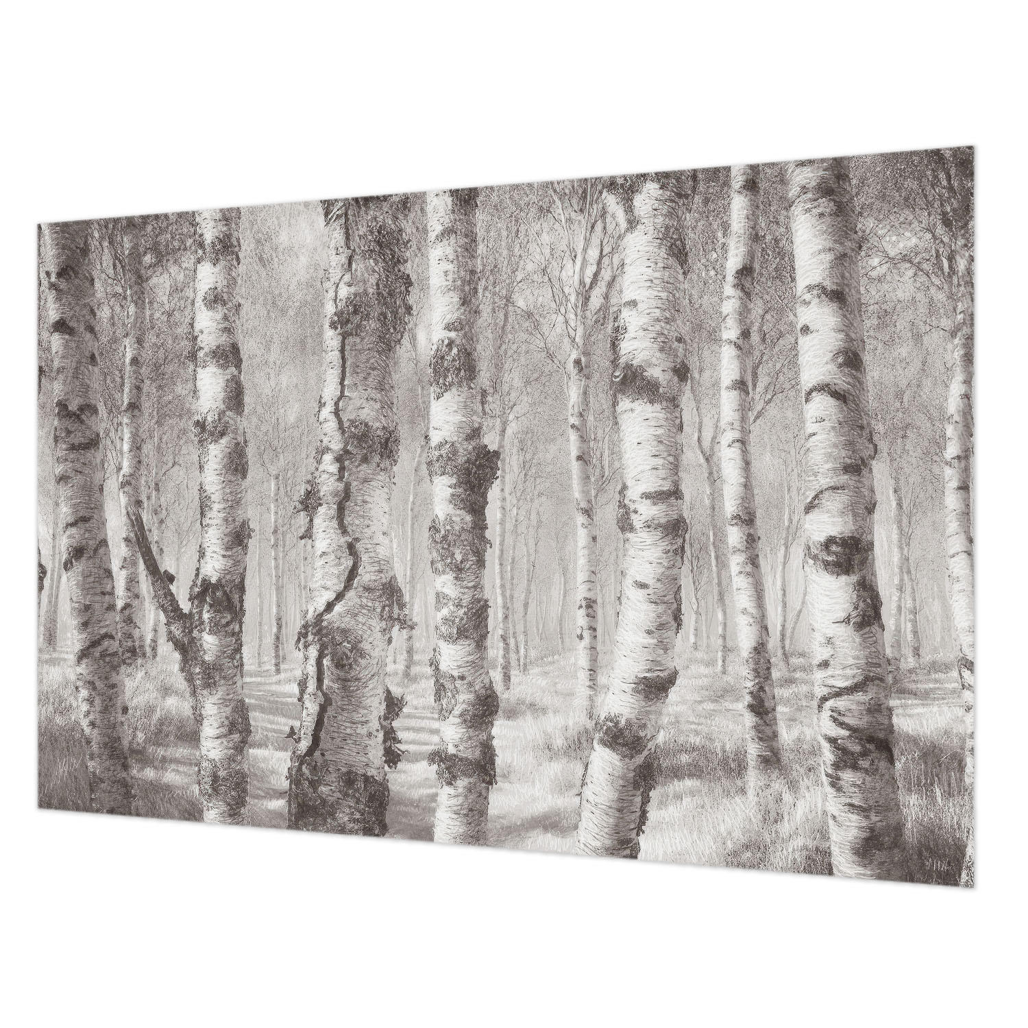 FOTOTAPETE 104x70 cm - Birkenwald - Schwarz, Textil (104/70cm) - Wallfluent