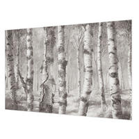 FOTOTAPETE 104x70 cm - Birkenwald - Schwarz, Textil (104/70cm) - Wallfluent