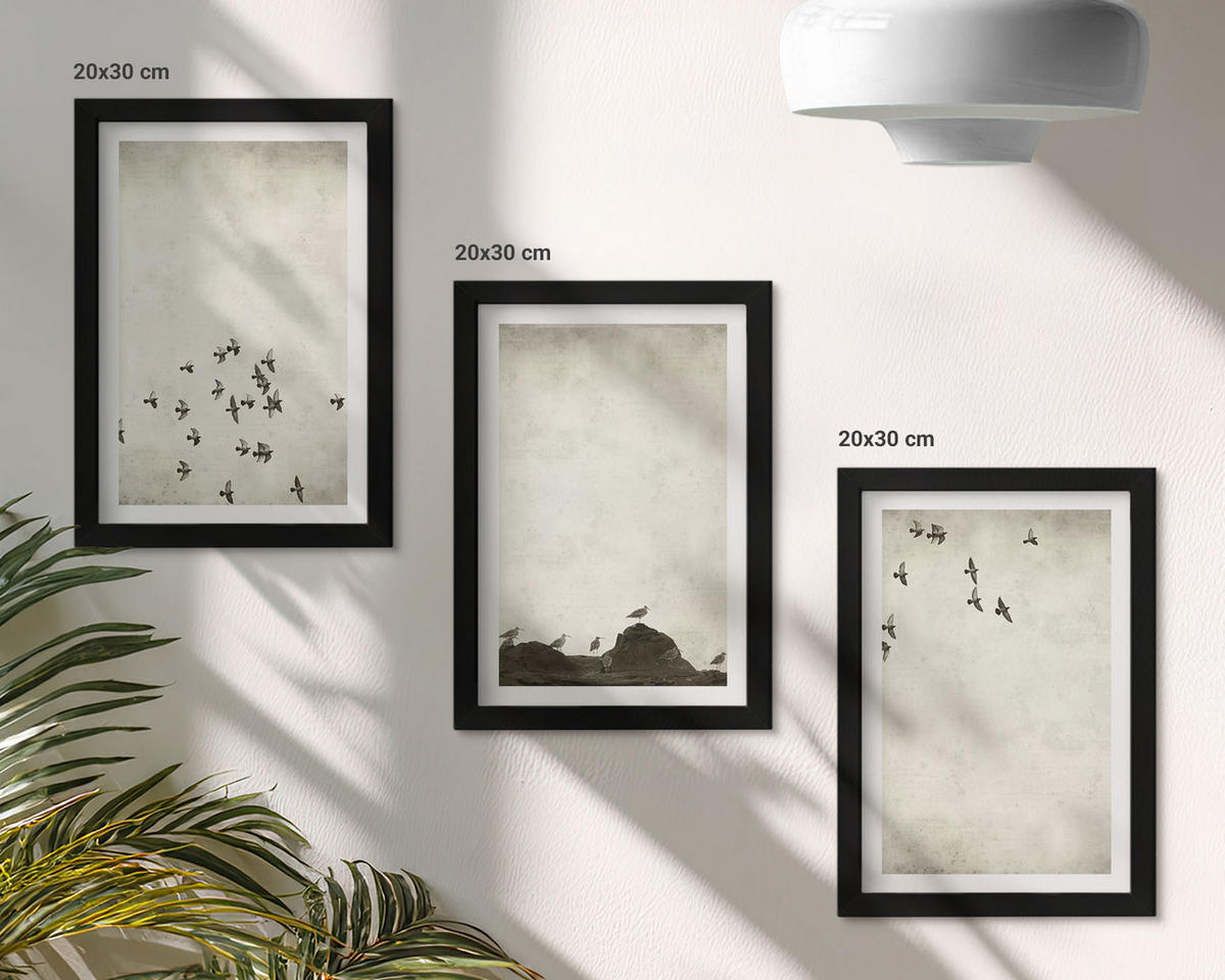WANDBILDER 3er-Set - 20x30 cm Schwarzer Rahmen - Vögel im Flug, minimalistischer Stil - Schwarz, Kunststoff (20/30cm) - ArtPrintCave