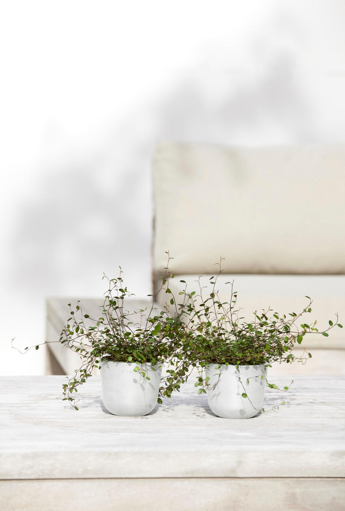 BLUMENTOPF Oslo Mini 11,4/9,5 cm Weiß - Weiß, Kunststoff (11.4/9.5cm) - Ecopots